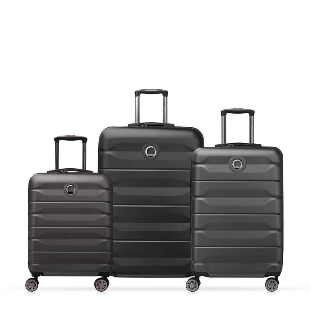 Delsey Bags