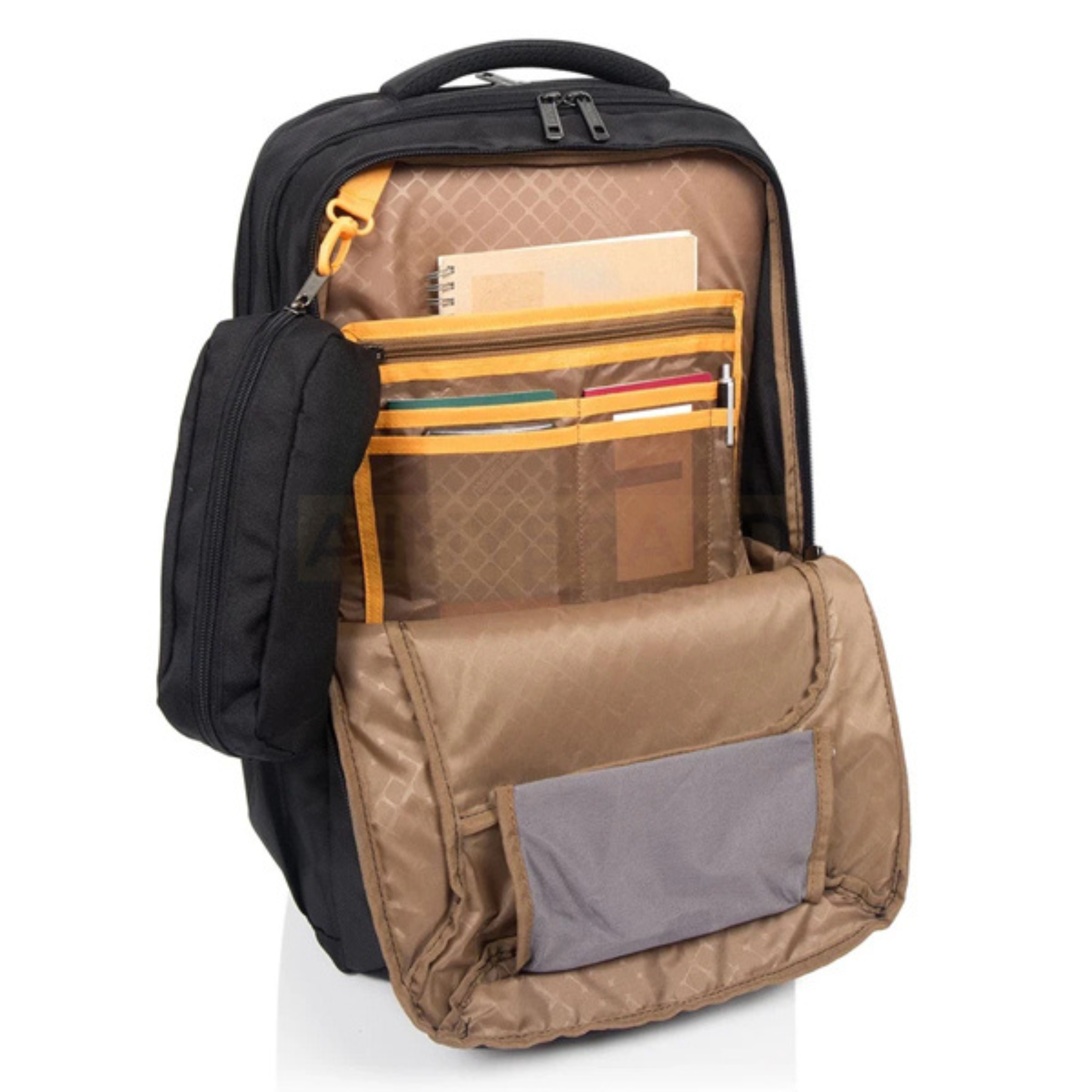 American Tourister Segno Backpack with spacious main compartment and laptop sleeve
