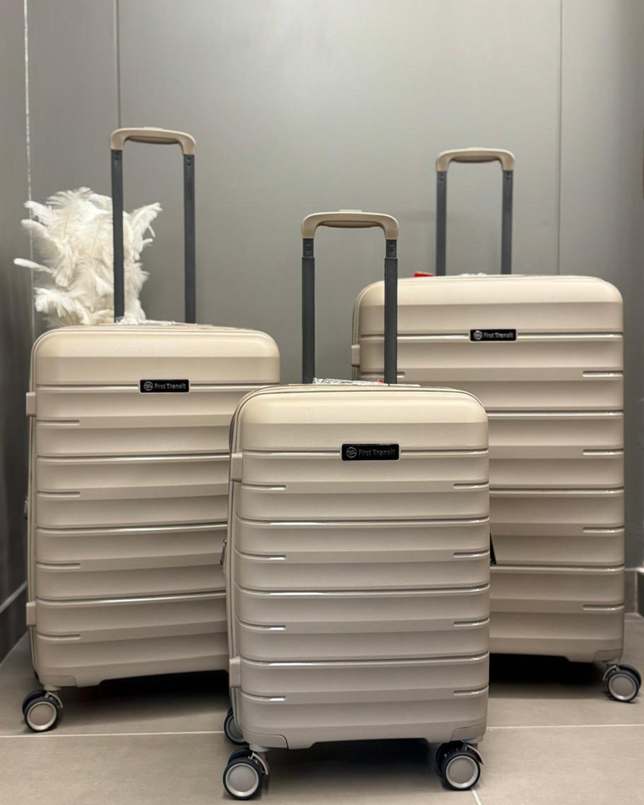 First Transit PP body Luggage