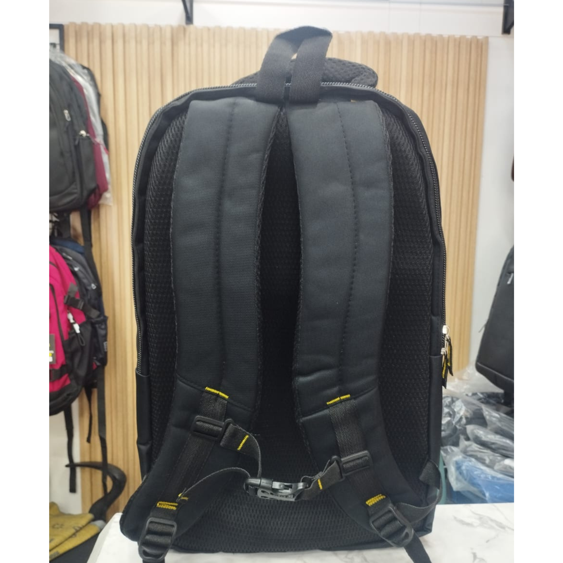 CAT Backpack with double Partition